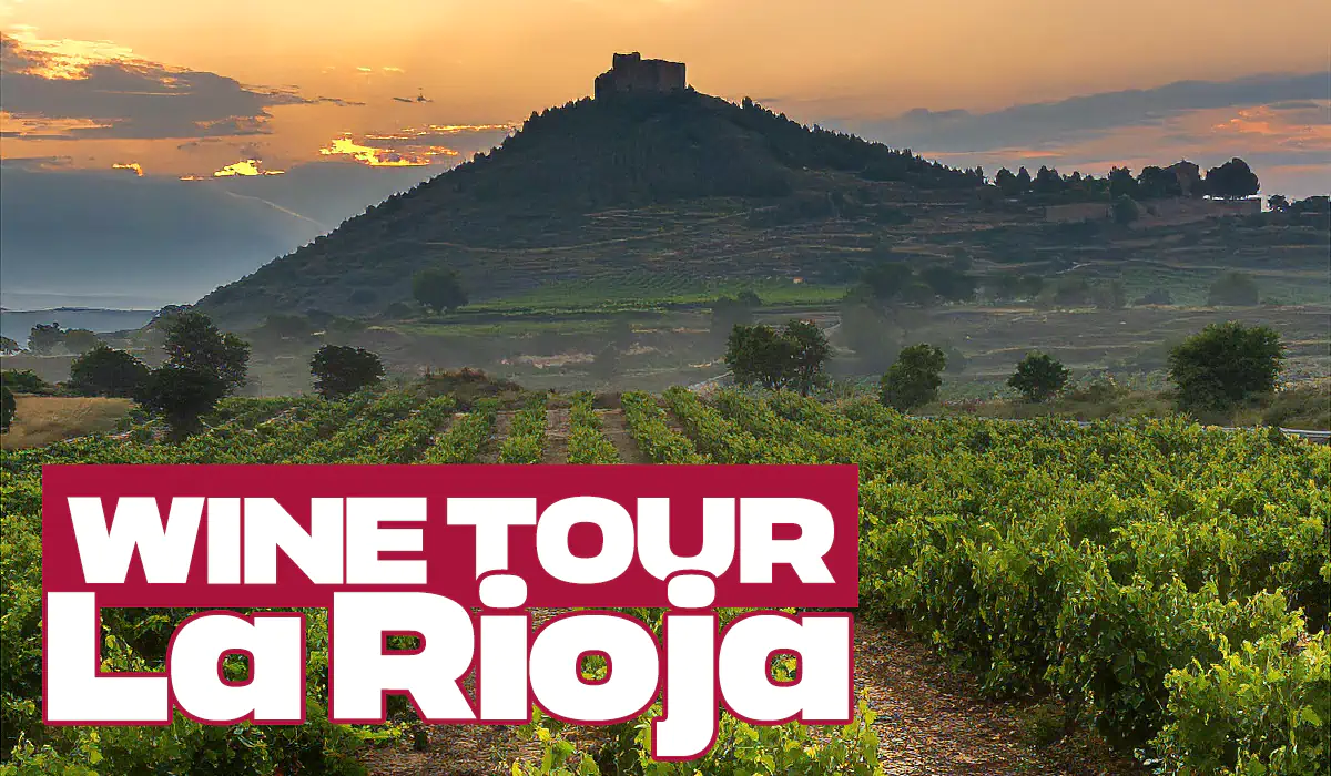 Wine Tour La Rioja