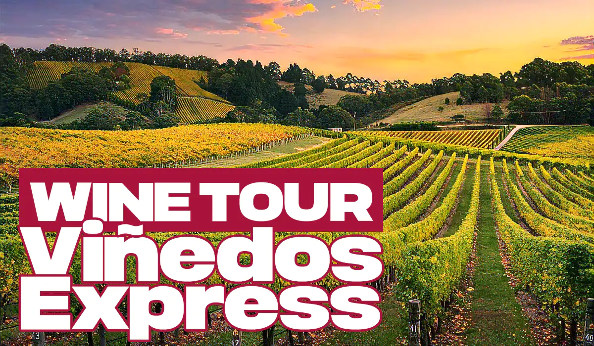 Tour Viñedos Express