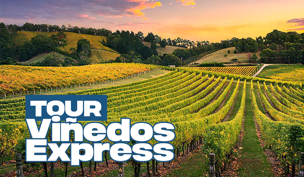 Tour Viñedos Express