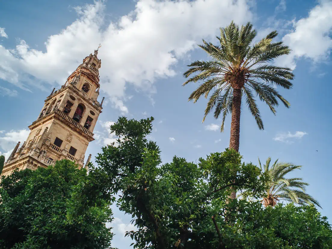 City Tour Gastronómico Córdoba + Monumentos GAL_03