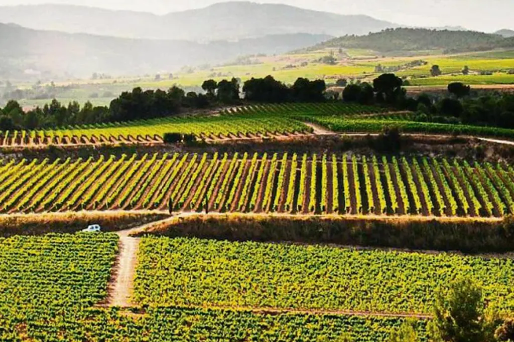 product_tour_parque_natural_de_montserrat_monasterio_cata_de_vinos