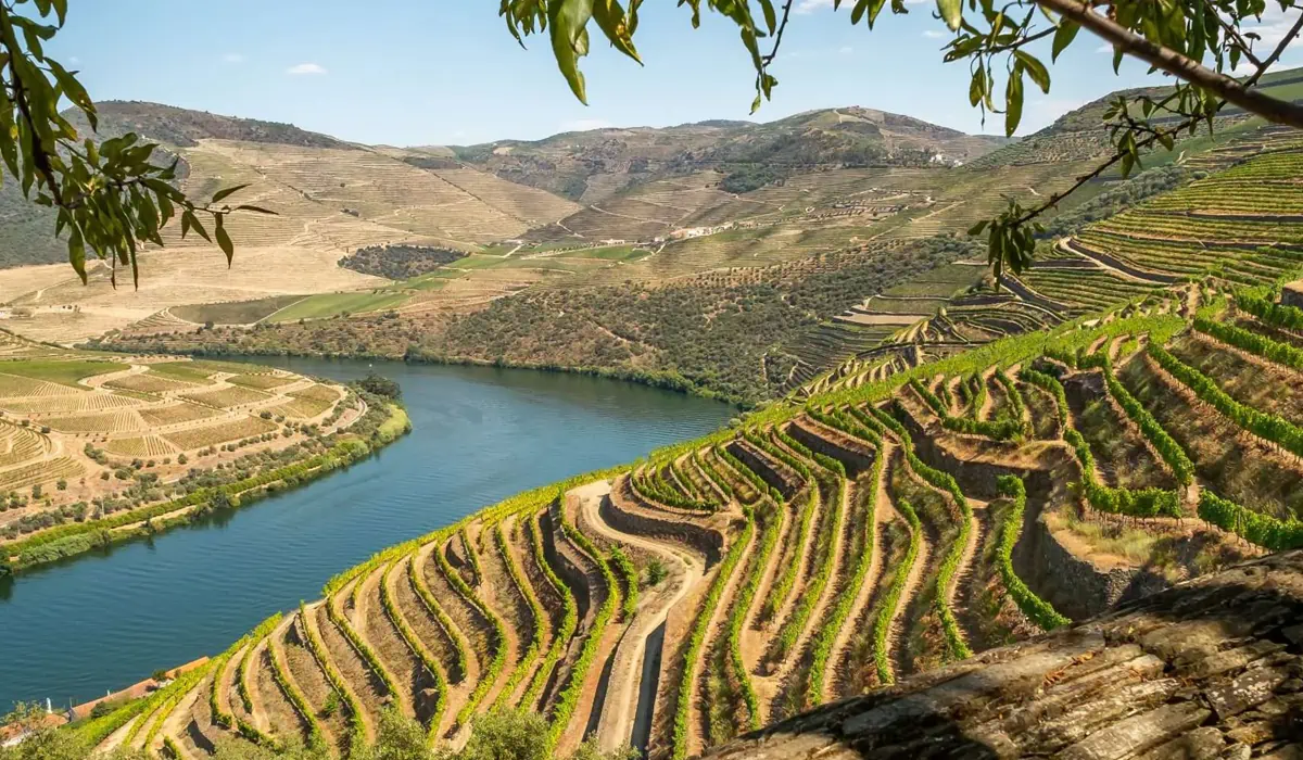 Wine Tour Ribera del Duero