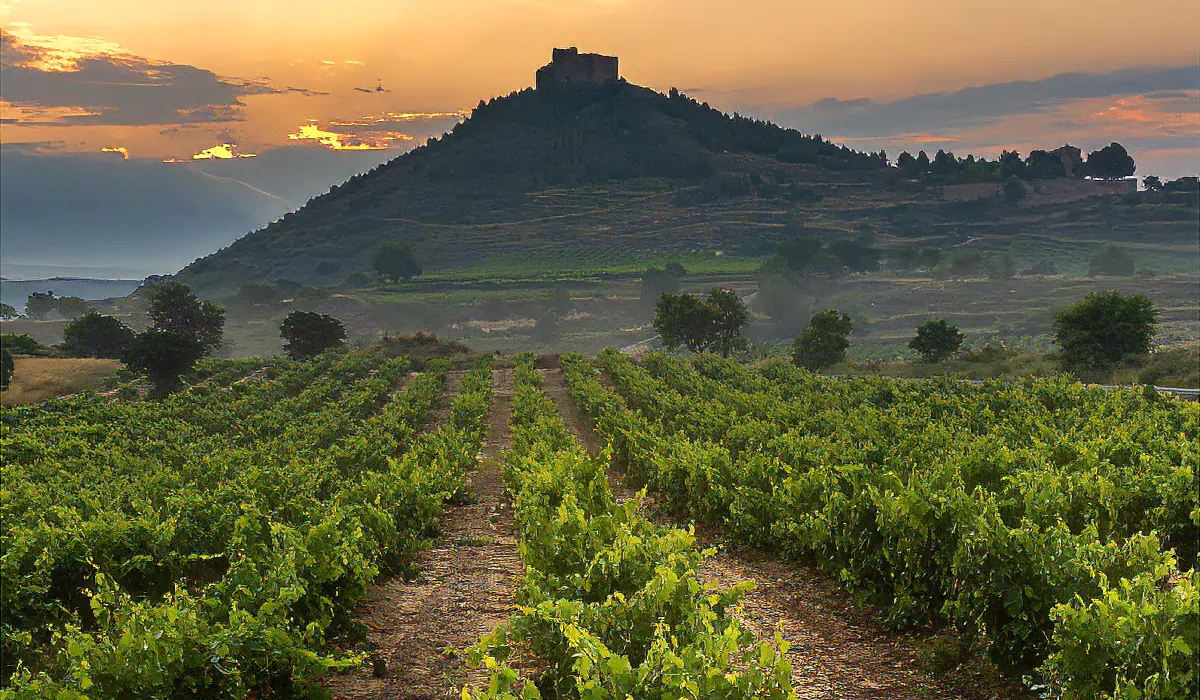 Wine Tour La Rioja