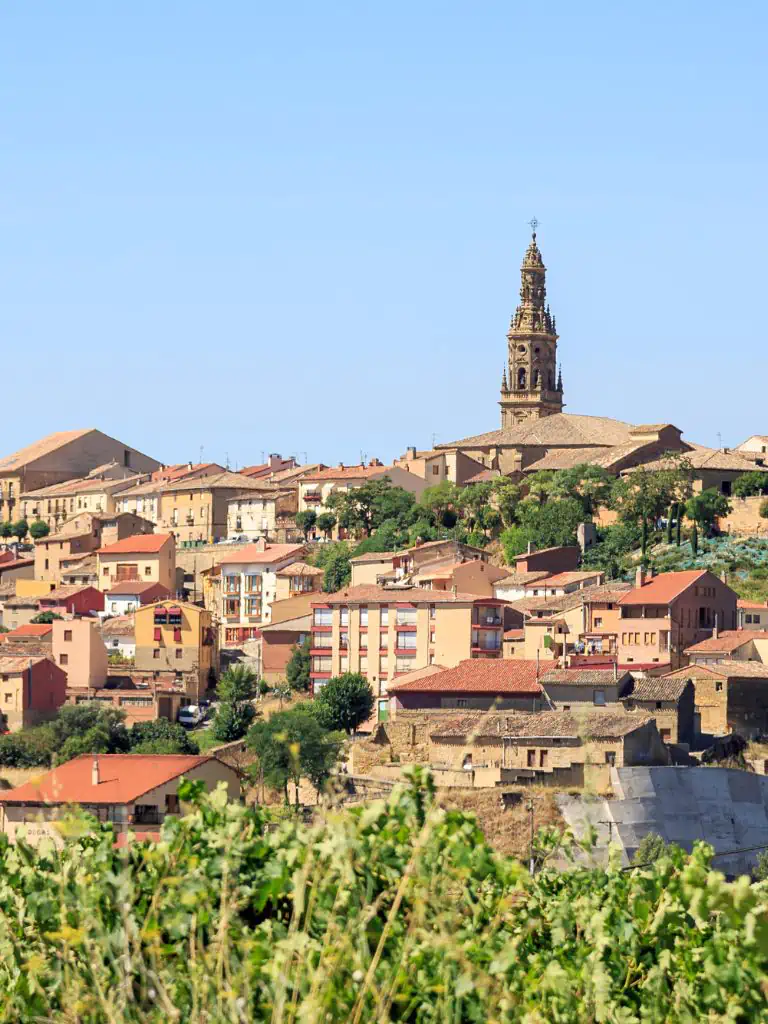Wine Tour La Rioja GAL 04